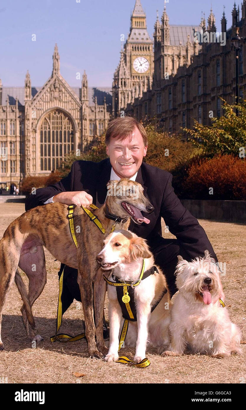 David Amess animaux errants Loi Banque D'Images