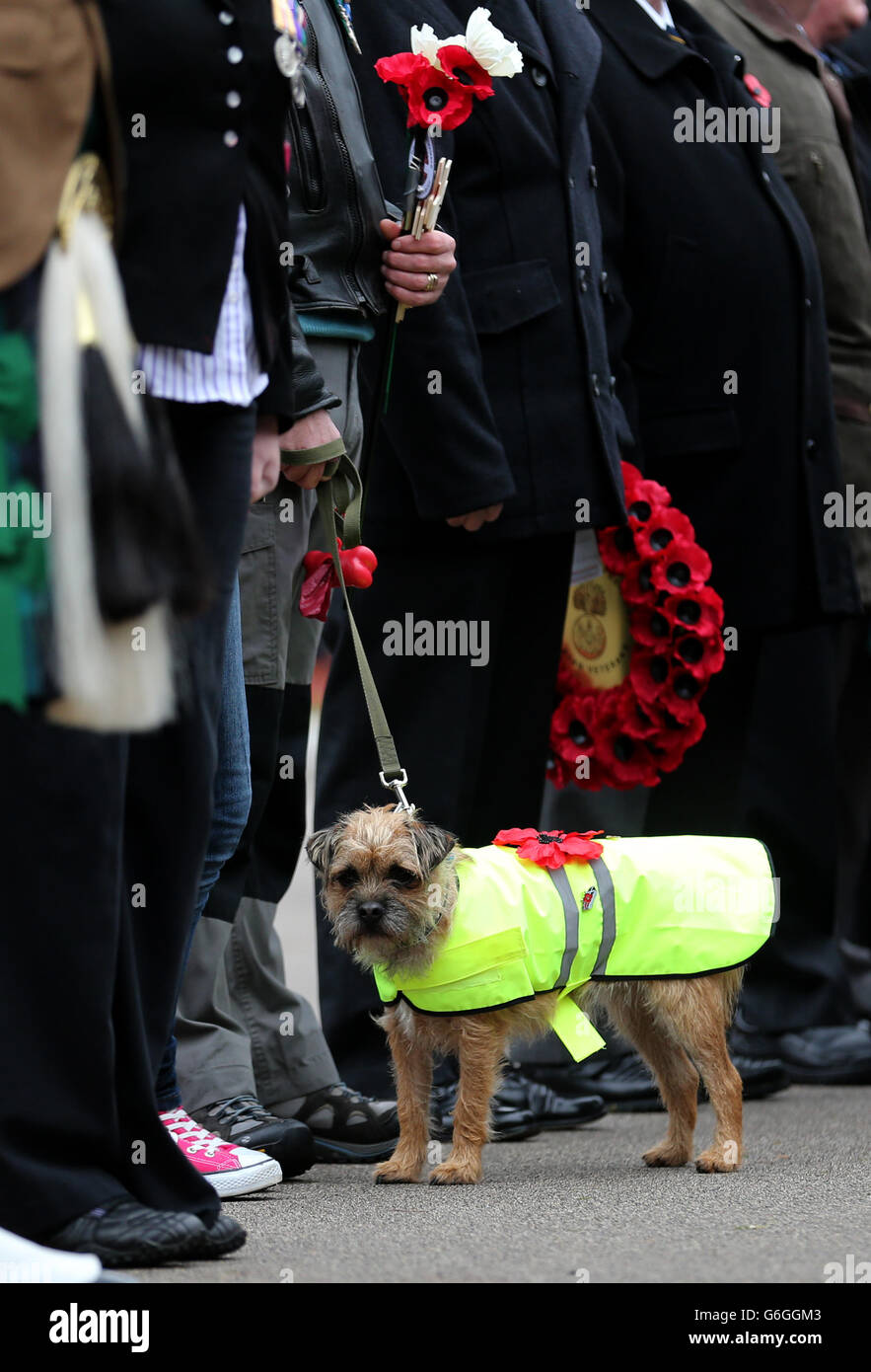 L'ancien combattant Charlie a enfugé son chien Buddy pendant le service de dévouement au jardin du souvenir de George Square, à Glasgow, en vue des événements annuels du jour du souvenir de Glasgow et du jour de l'armistice à George Square ce week-end. Banque D'Images