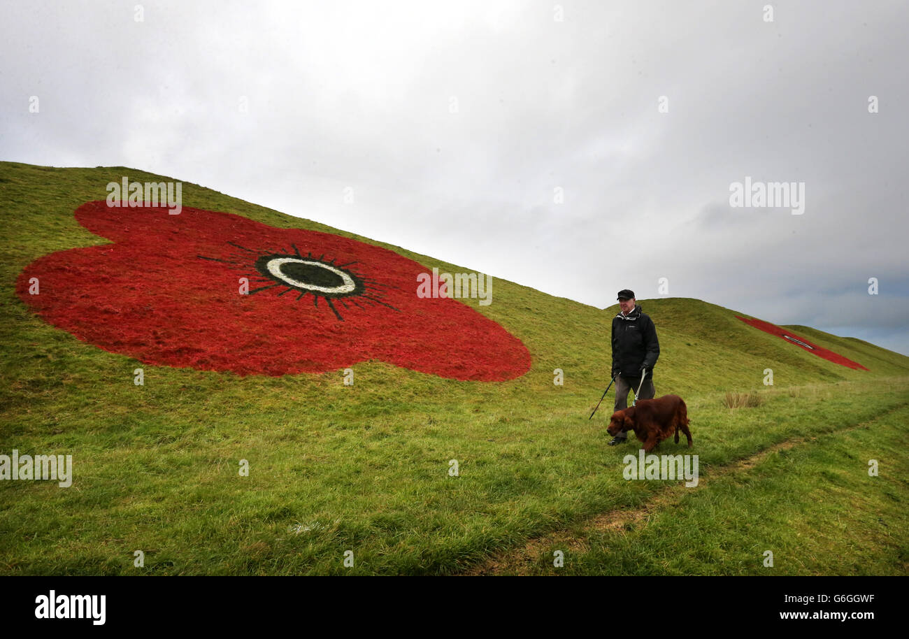 Joe Campbell, marcheur de chiens, de Bathgate, avec Paddy le Setter rouge qui marche à travers les Pyramides de Bathgate, Lothian occidental, qui sont actuellement peints avec des coquelicots géants avant le dimanche du souvenir. Banque D'Images