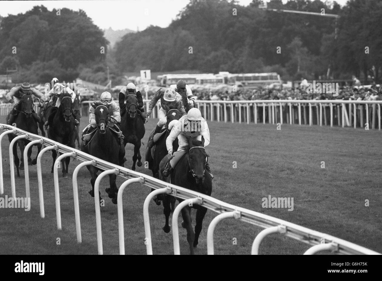 Les courses de chevaux - le roi George VI et la reine Elizabeth Diamond Stakes - Ascot Banque D'Images