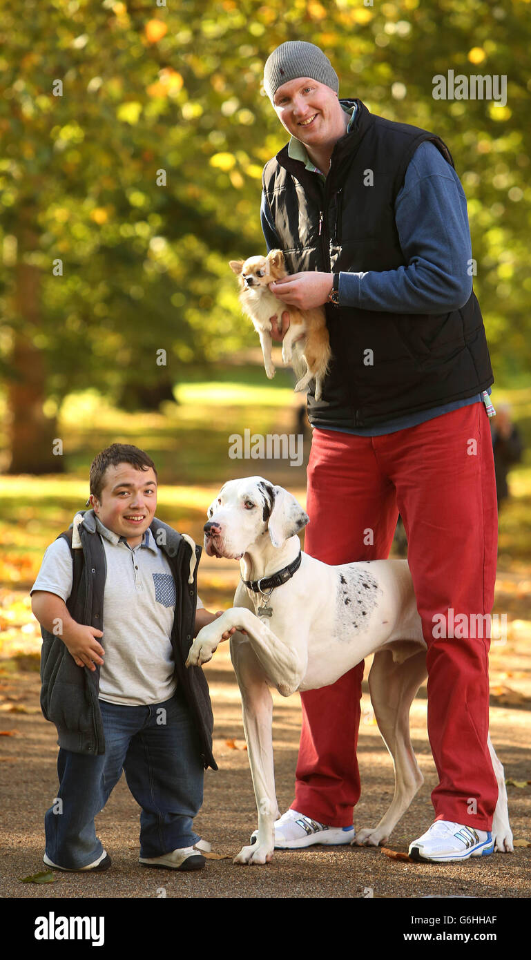 Neil Fingleton (à droite), l'homme le plus haut du Royaume-Uni et James Lusted (à gauche), l'un des hommes les plus courts du Royaume-Uni, prennent Ruach the Great Dane et Pickle the Chihuahua pour une promenade dans le Green Park de Londres, avant l'événement Discover Dogs du Kennel Club à Earls court les 9 et 10 novembre. Banque D'Images