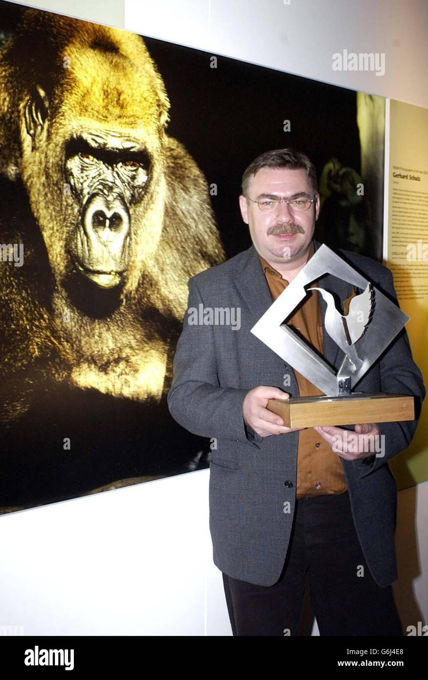 Photographe de la faune de l'année 2003 Banque D'Images