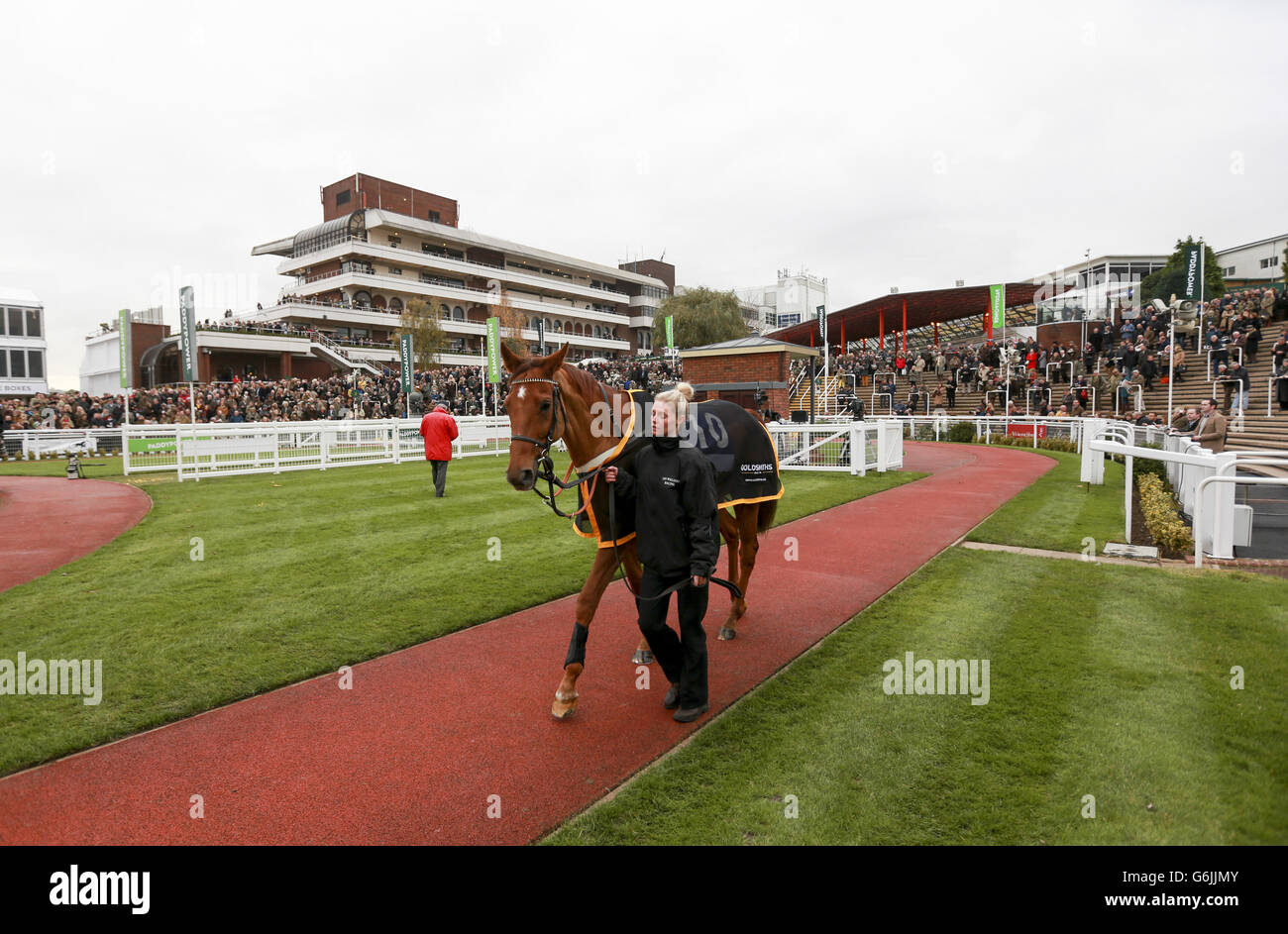 Les courses de chevaux - l'Open Festival 2013 - Campagne - Jour de l'Hippodrome de Cheltenham Banque D'Images