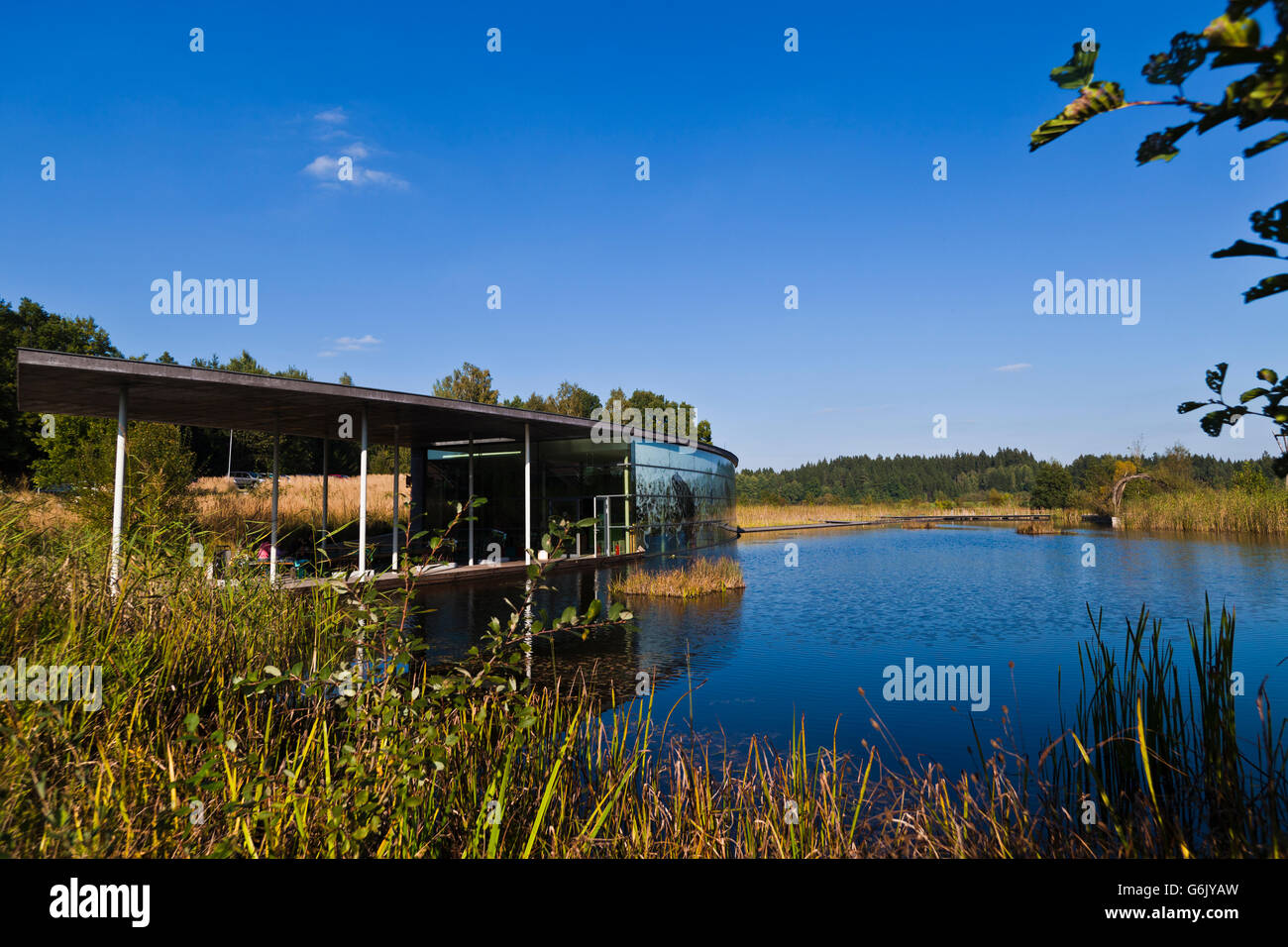 Waldviertel Schrems, un monde sous forêt, trimestre, Basse Autriche, Autriche, Europe Banque D'Images