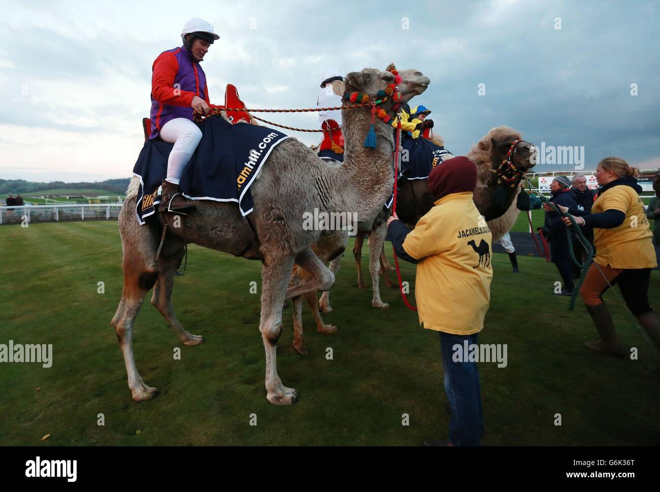 Matt Chapman pendant le William Hill Camel Derby à l'hippodrome de Chepstow. Banque D'Images