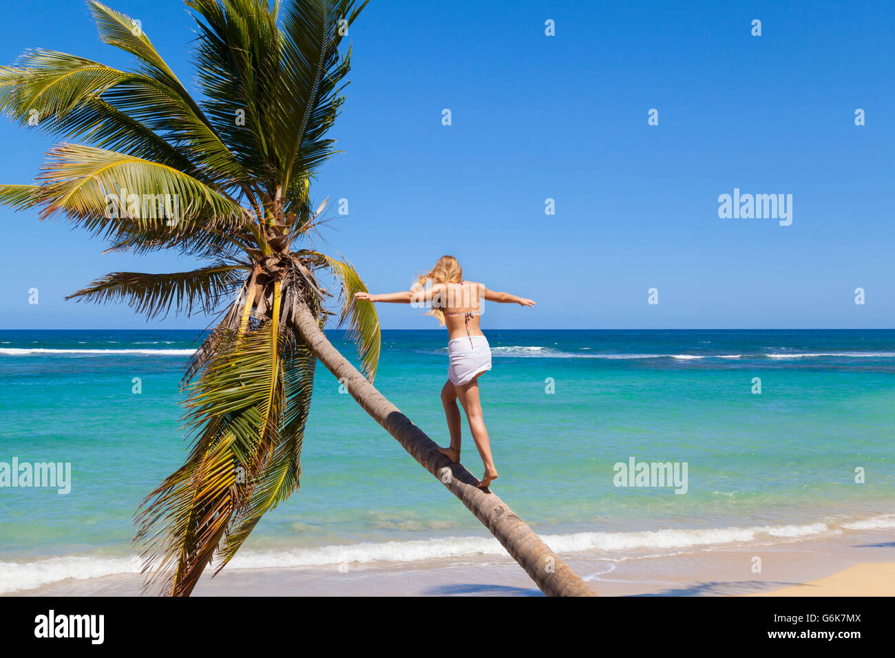 Republique dominicaine, jeune femme escalade palm tree at tropical beach Banque D'Images