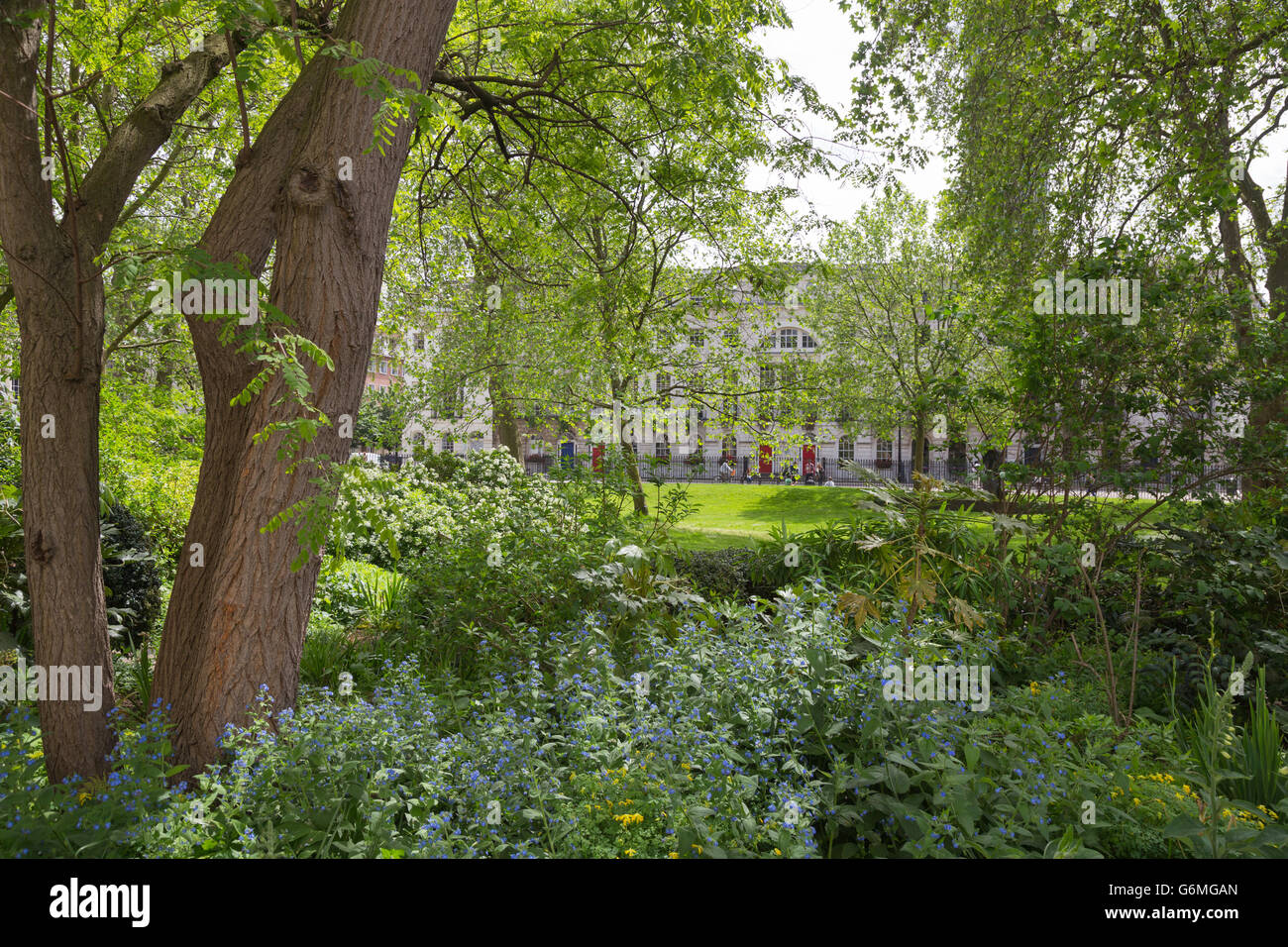 Fitzroy Square Garden de Fitzrovia, Londres W1, sur une journée ensoleillée Banque D'Images