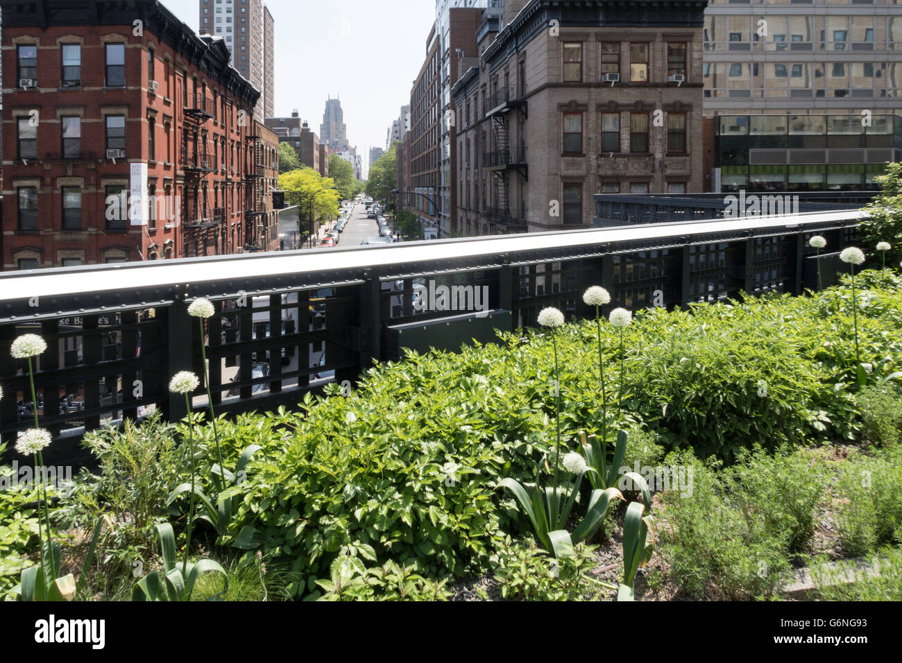 L'aménagement paysager sur le parc High Line, NYC Banque D'Images