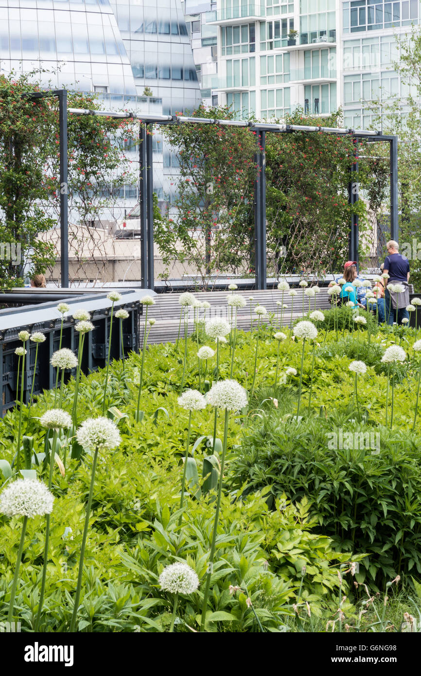 Les visiteurs appréciant la ligne haute Park, NYC Banque D'Images