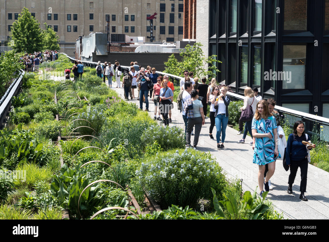 Les visiteurs appréciant la ligne haute Park, NYC Banque D'Images