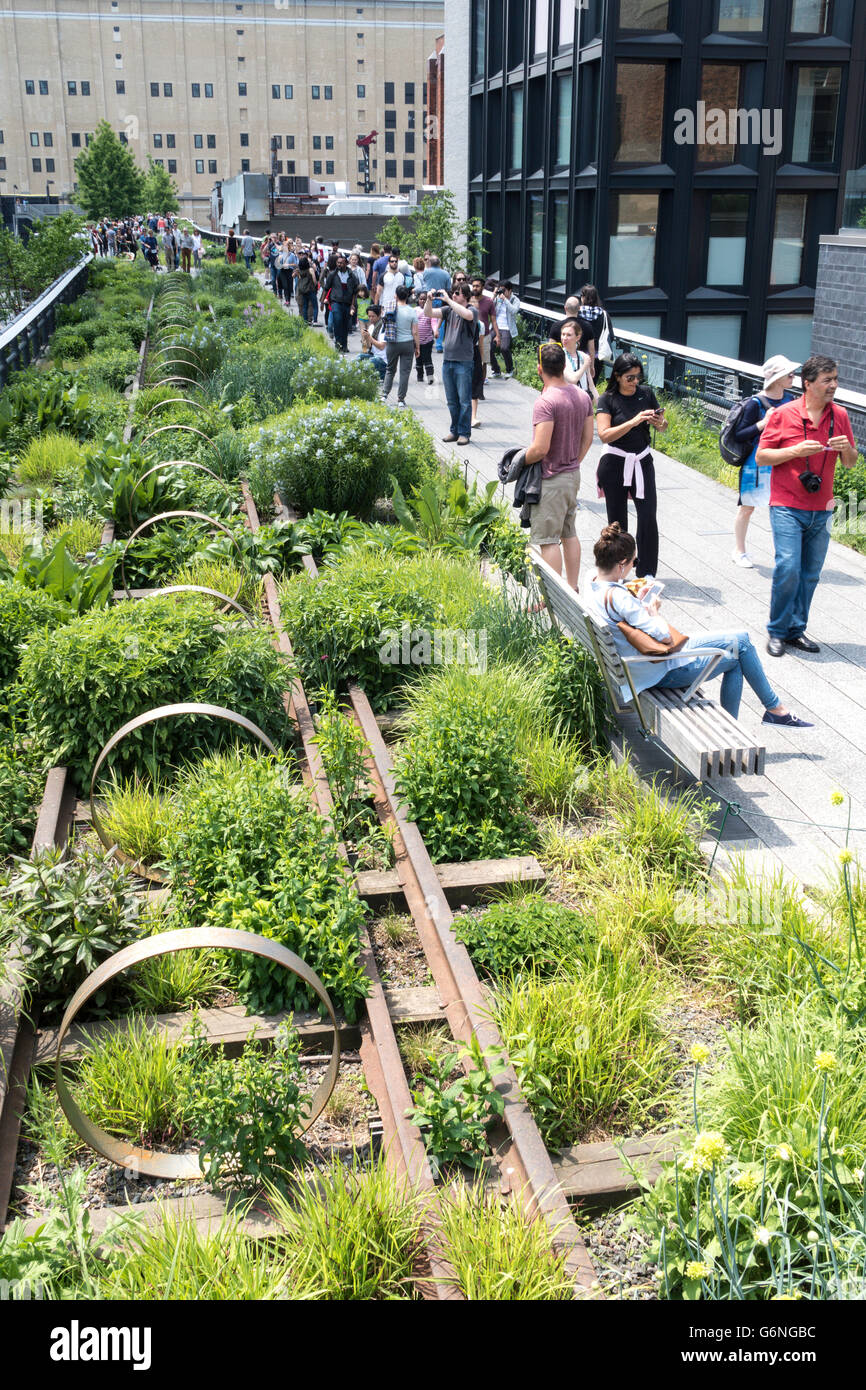 Les visiteurs appréciant la ligne haute Park, NYC Banque D'Images