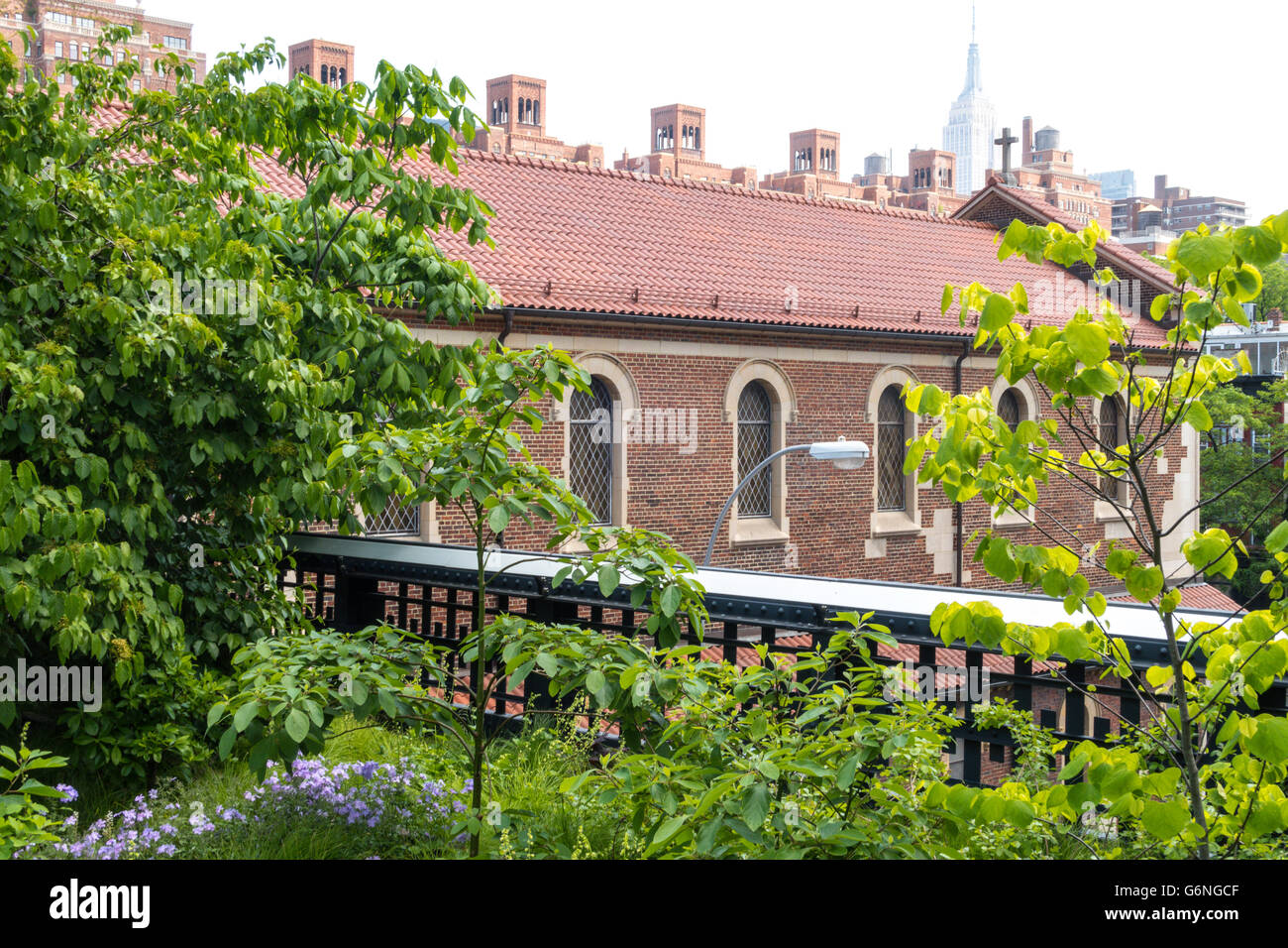 L'aménagement paysager sur le parc High Line, NYC Banque D'Images
