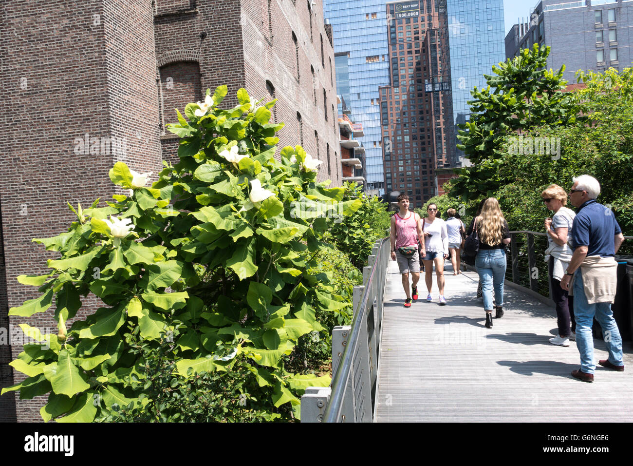 Les visiteurs appréciant la ligne haute Park, NYC Banque D'Images