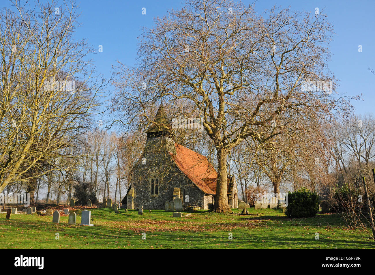 Eglise St Mary the Virgin,. Activillage Arbre Plan de Londres Banque D'Images