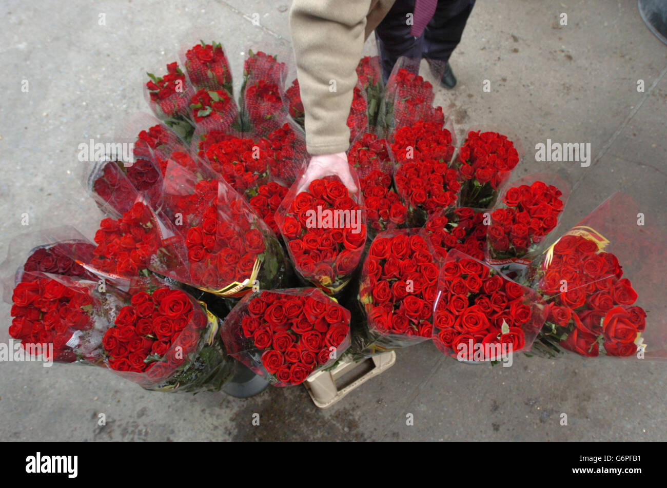 La Saint-valentin irlandais Banque D'Images