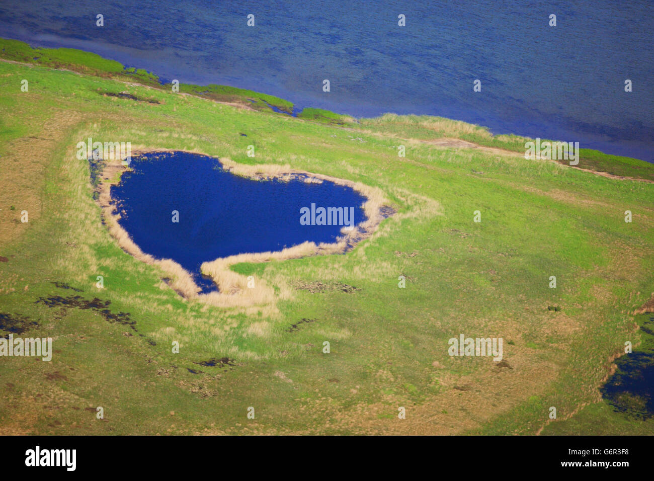 Côte Est, l'étang en forme de coeur, l'île de Hiddensee, mer Baltique, Mecklembourg-Poméranie-Occidentale, Allemagne Banque D'Images