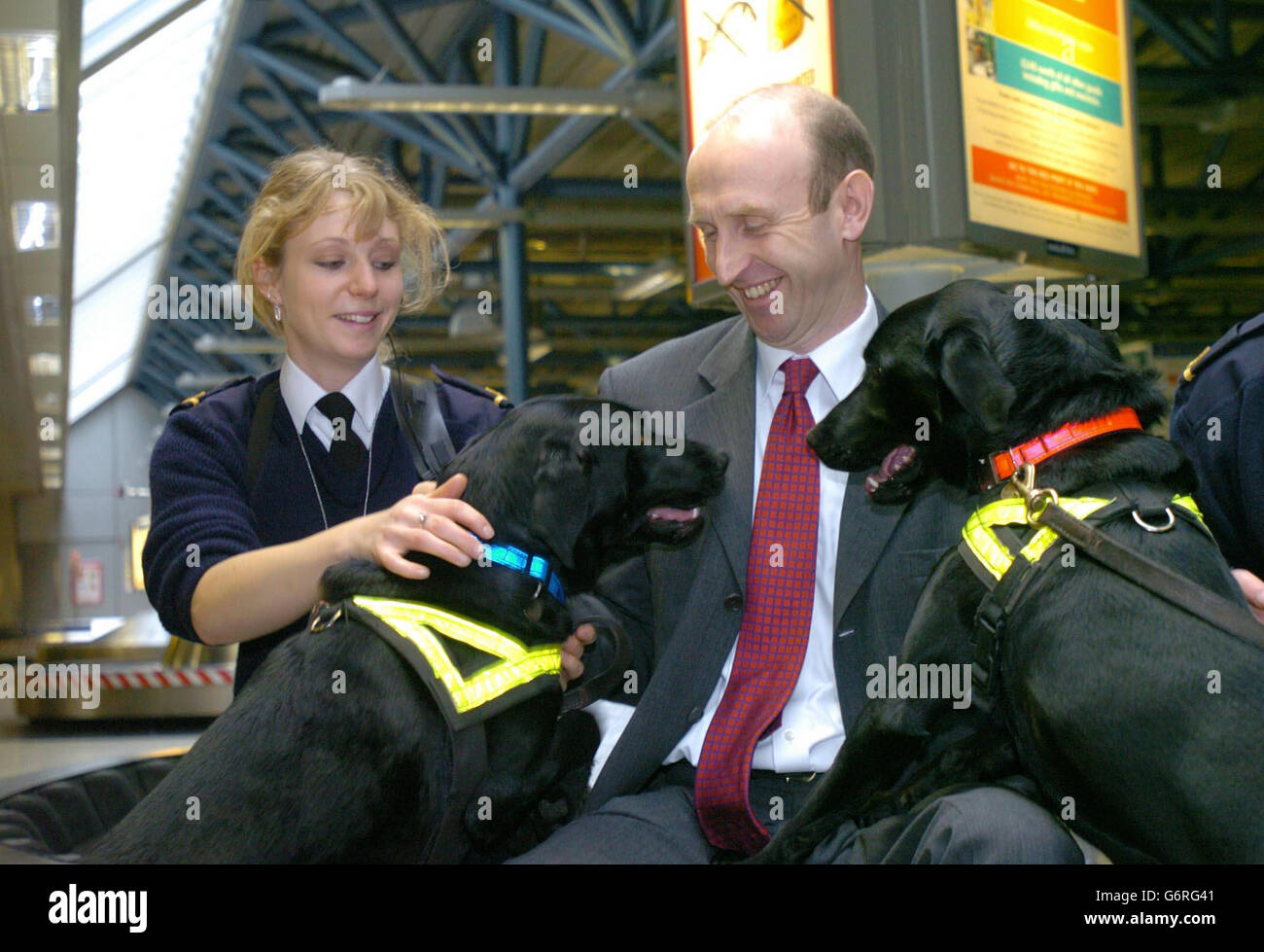 Le ministre des douanes, John Healey, avec l'agent des douanes, Stephanie Cartwright Taylor, et deux des chiens qui sont maintenant utilisés pour trouver des viandes et des poissons illégaux qui passent par Heathrow. De nouvelles règles strictes ont été mises en place à la fin de 2002 pour réduire la circulation à la suite d'une série de crises sanitaires au Royaume-Uni, notamment les épidémies de fièvre aphteuse et de peste porcine. Banque D'Images