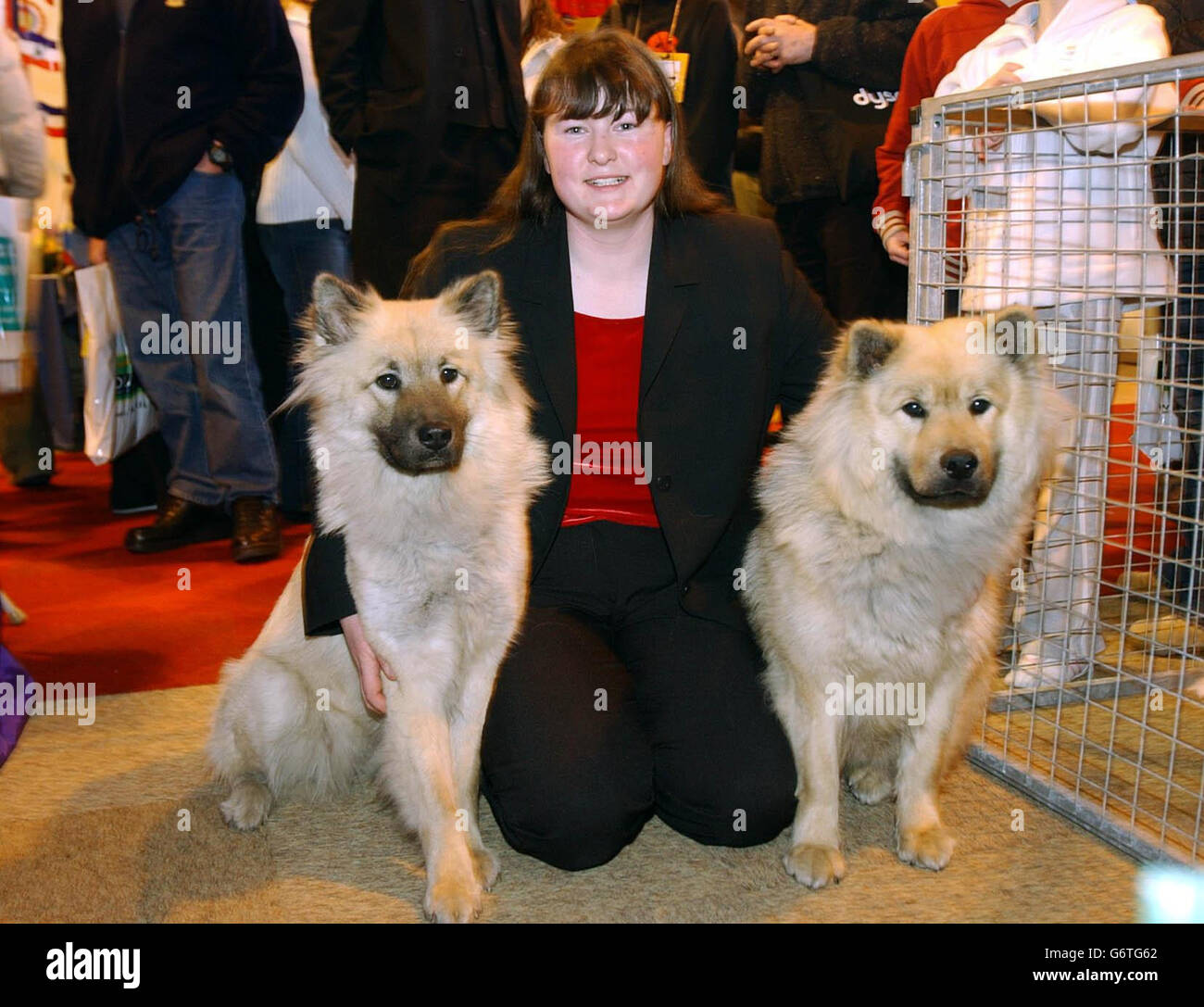 Stacey Watkins avec ses chiens Eurasier Tino et Uno le jour d'ouverture du 113e spectacle de chiens Crufts au NEC, Birmingham. Le Kennel Club espère qu'un nombre record de 130,000 passionnés visiteront le site de Birmingham pour cet événement de quatre jours, considéré comme le plus prestigieux salon canin du monde. Banque D'Images