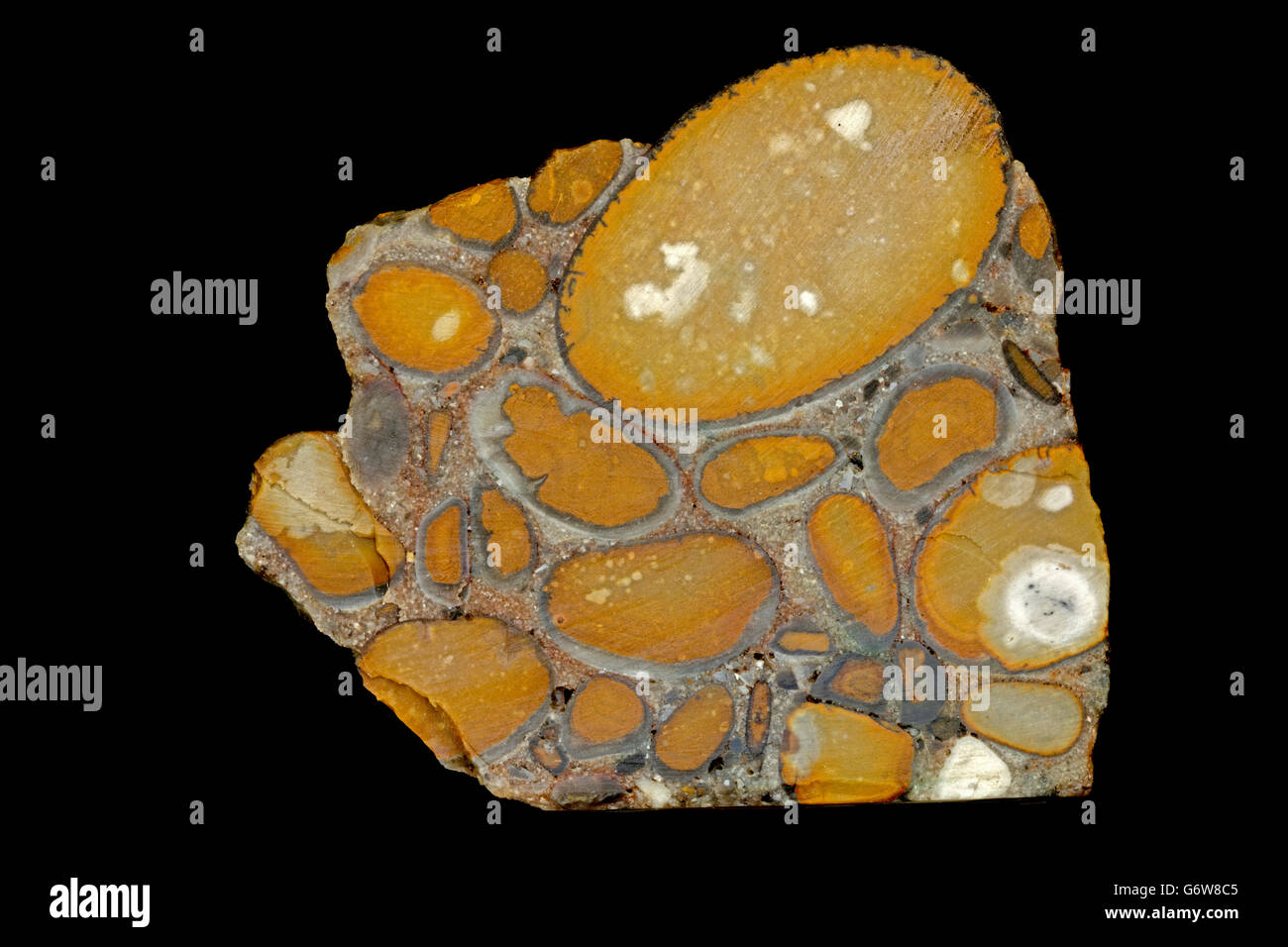Hertfordshire puddingstone conglomérat, composé de roches sédimentaires de silex de cailloux de quartz cimentés par matrice, Hertfordshire Banque D'Images