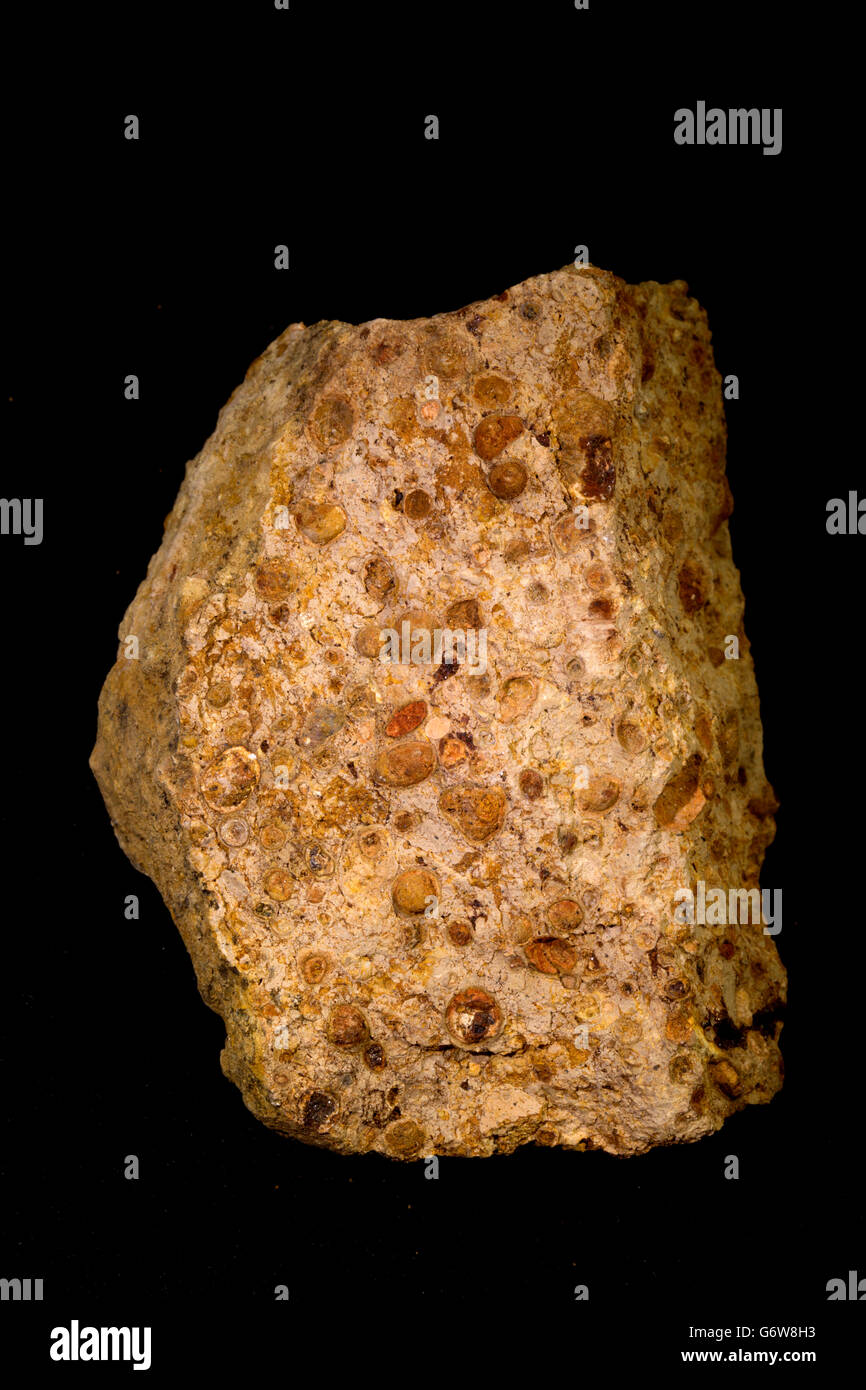 , Gibbsite (bauxite), bauxite, Arkansas, États-Unis, le minerai d'aluminium, de roches sédimentaires, pisolitic Banque D'Images