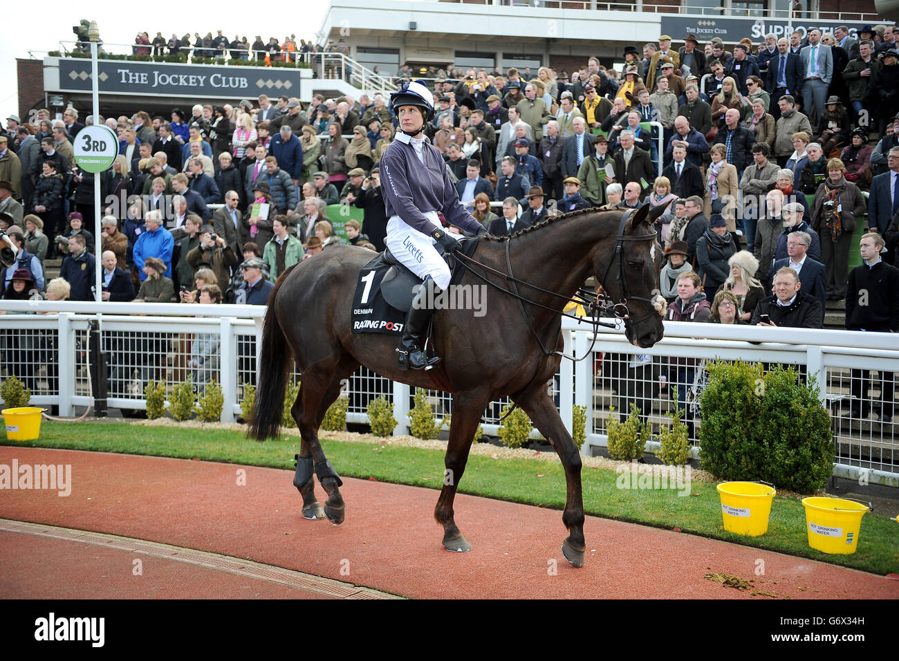 Les courses de chevaux - 2014 - Festival de Cheltenham Cheltenham Racecourse - Journée Champion Banque D'Images