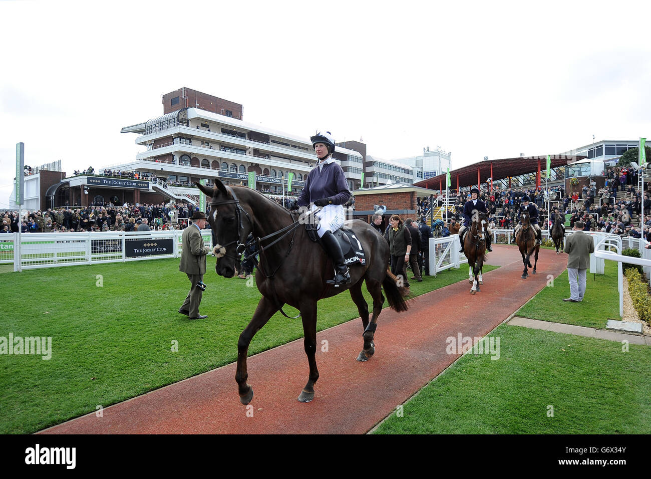 Les courses de chevaux - 2014 - Festival de Cheltenham Cheltenham Racecourse - Journée Champion Banque D'Images
