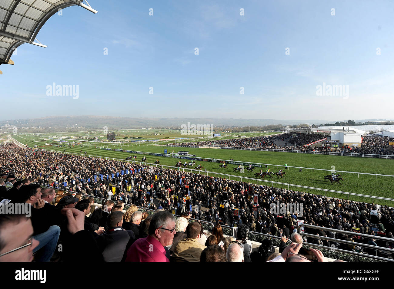 Vue panoramique sur les courses pour les clients de l'hippodrome de Cheltenham le jour des dames Banque D'Images