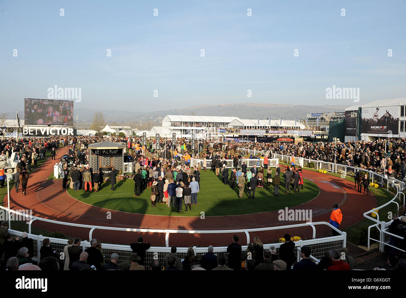 Une vue générale de l'enceinte des gagnants à l'hippodrome de Cheltenham Banque D'Images