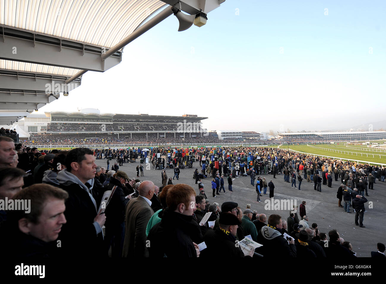 Les courses de chevaux - 2014 - Festival de Cheltenham Ladies Day - l'Hippodrome de Cheltenham Banque D'Images