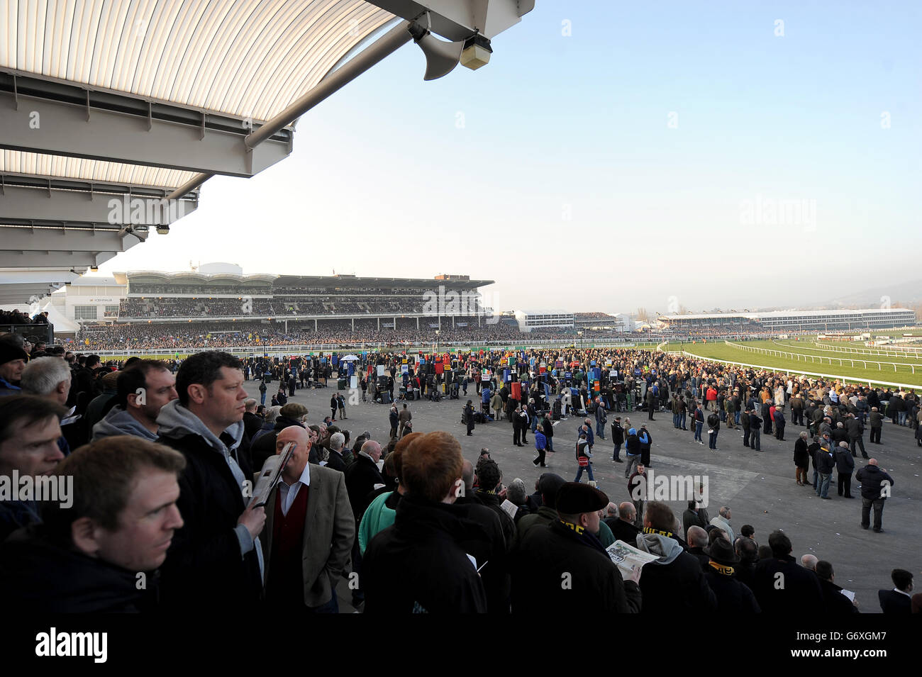 Une vue panoramique pour les clients de l'hippodrome de Cheltenham le jour des dames Banque D'Images