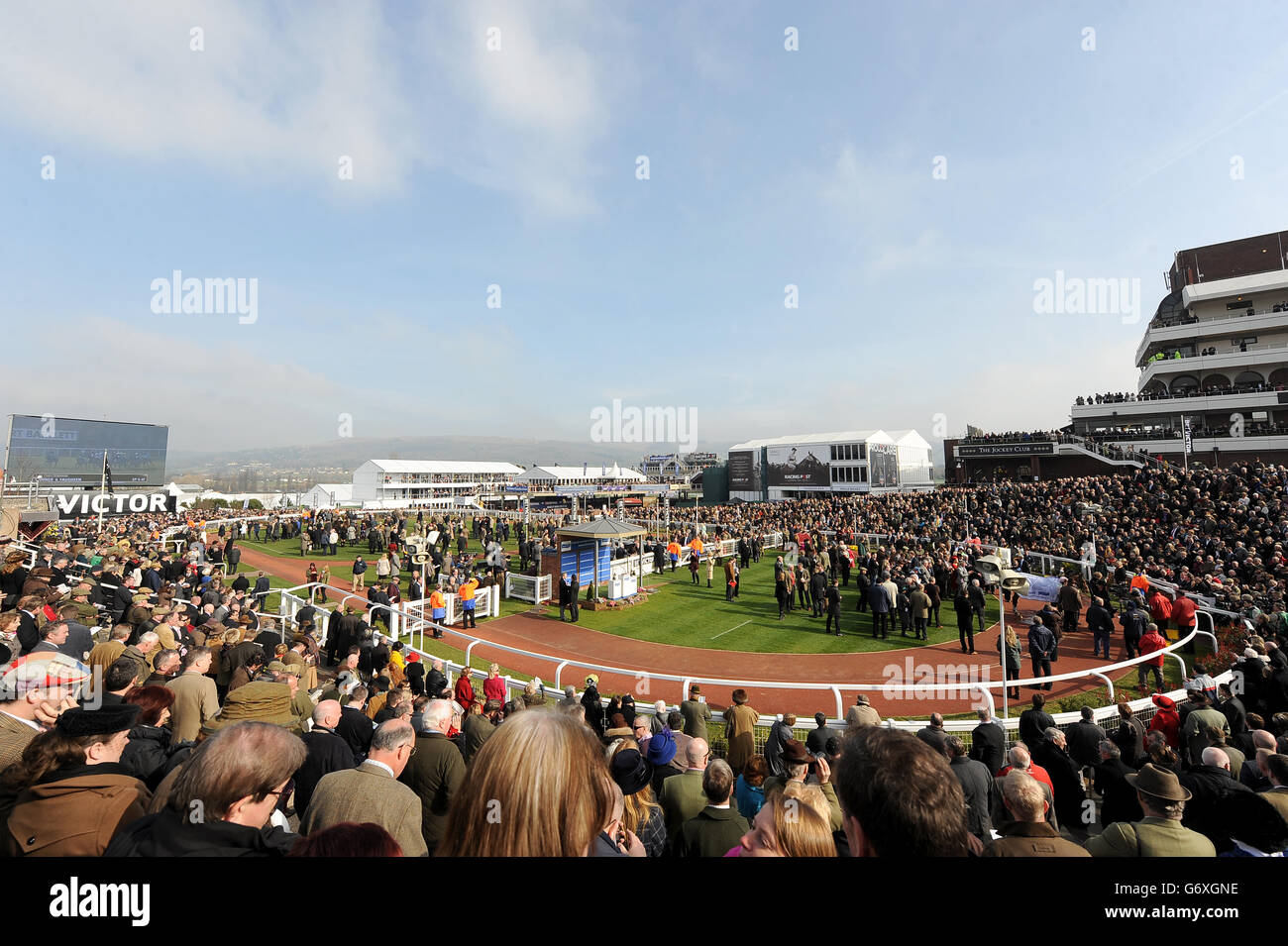 Courses hippiques - 2014 Cheltenham Festival - Ladies Day - Cheltenham Racecourse. Des foules entières entourent l'enceinte des gagnants Banque D'Images