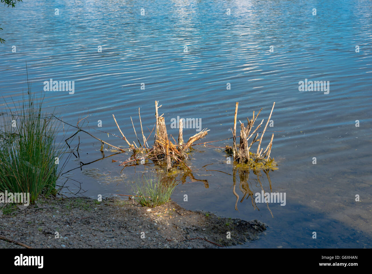 L'eau sale dans le lac sur la texture Banque D'Images