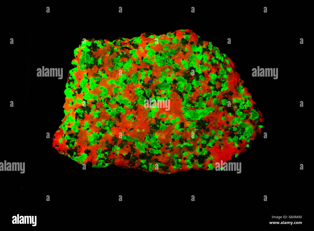 La calcite(rouge), willamite (vert), Sterling Hill, New Jersey, en lumière fluorescente, partie de la série 2 de 2 Banque D'Images