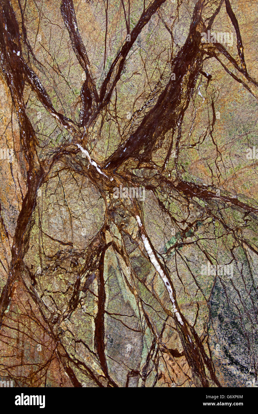 Serpentinite, 'rainforest brown' dalle, l'Inde, metamorhic rock composé d'un ou plusieurs minéraux, groupe serpentine Banque D'Images