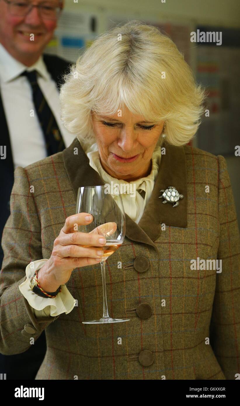 La duchesse de Cornwall participe à un cours de dégustation de vins lors d'une visite au nouveau centre de recherche sur le vin de Plumpton College, East Sussex. Banque D'Images