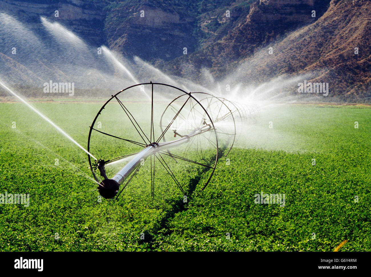 Équipement d'irrigation pulvériser de l'eau sur les champs de ferme près de Cortez, Colorado, USA Banque D'Images