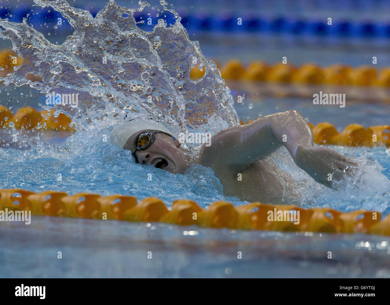 Natation - Championnats de natation de gaz britannique 2014 - Jour trois - Centre International de Natation Tollcross Banque D'Images
