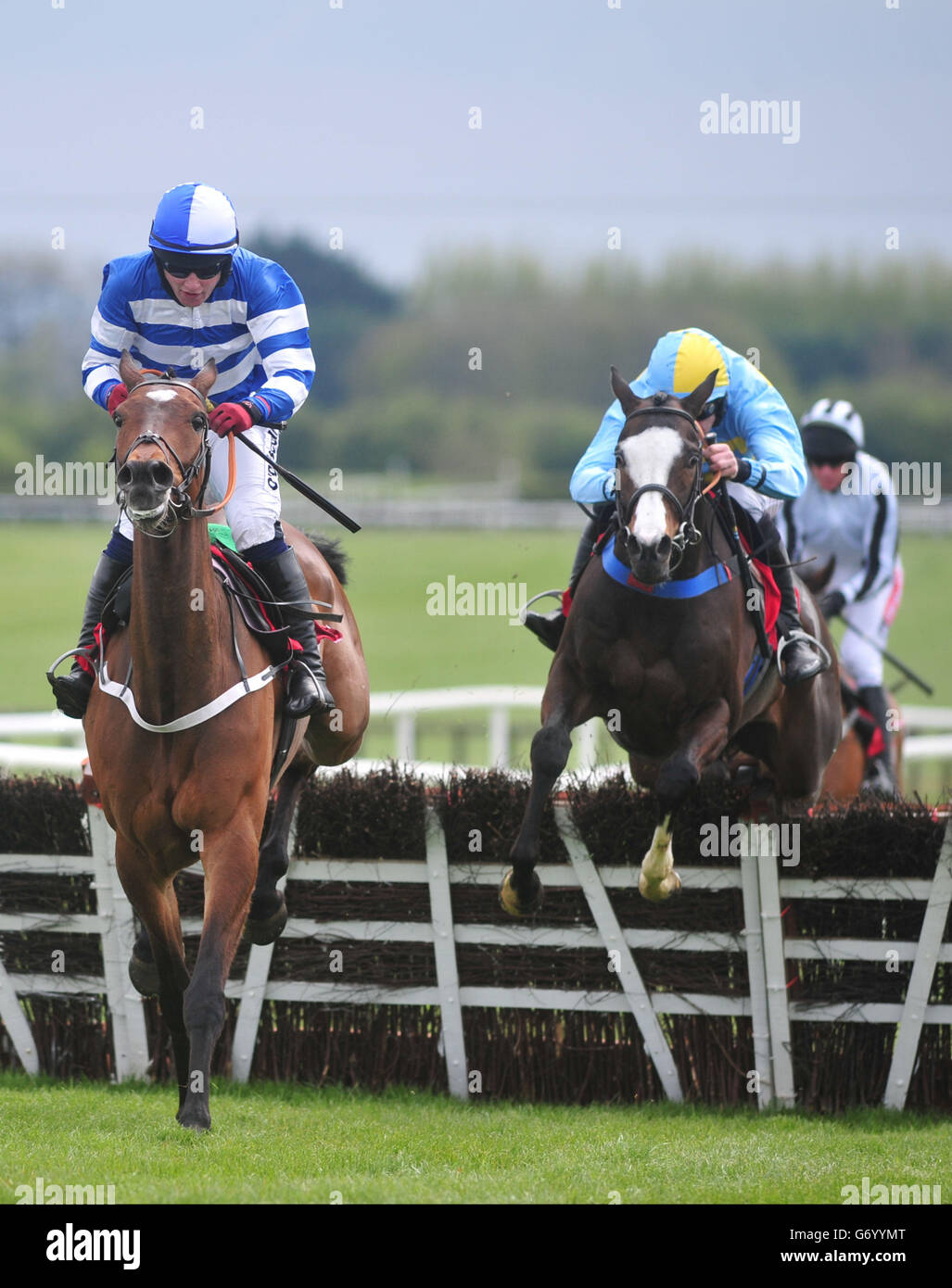 La Course de Chevaux Gold Cup - Pouvoirs - Hippodrome Fairyhouse Jour Banque D'Images