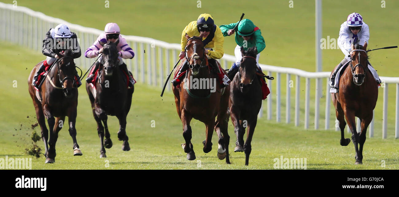 INIS Meain, monté par Danny Mullins, remporte les enchères présumées de l'Irish Field (course classée) lors de la Journée des mises de joie de Big Bad Bob/de la course de chevaux de guerre à l'hippodrome de Curragh, Co Kildare, Irlande. Banque D'Images
