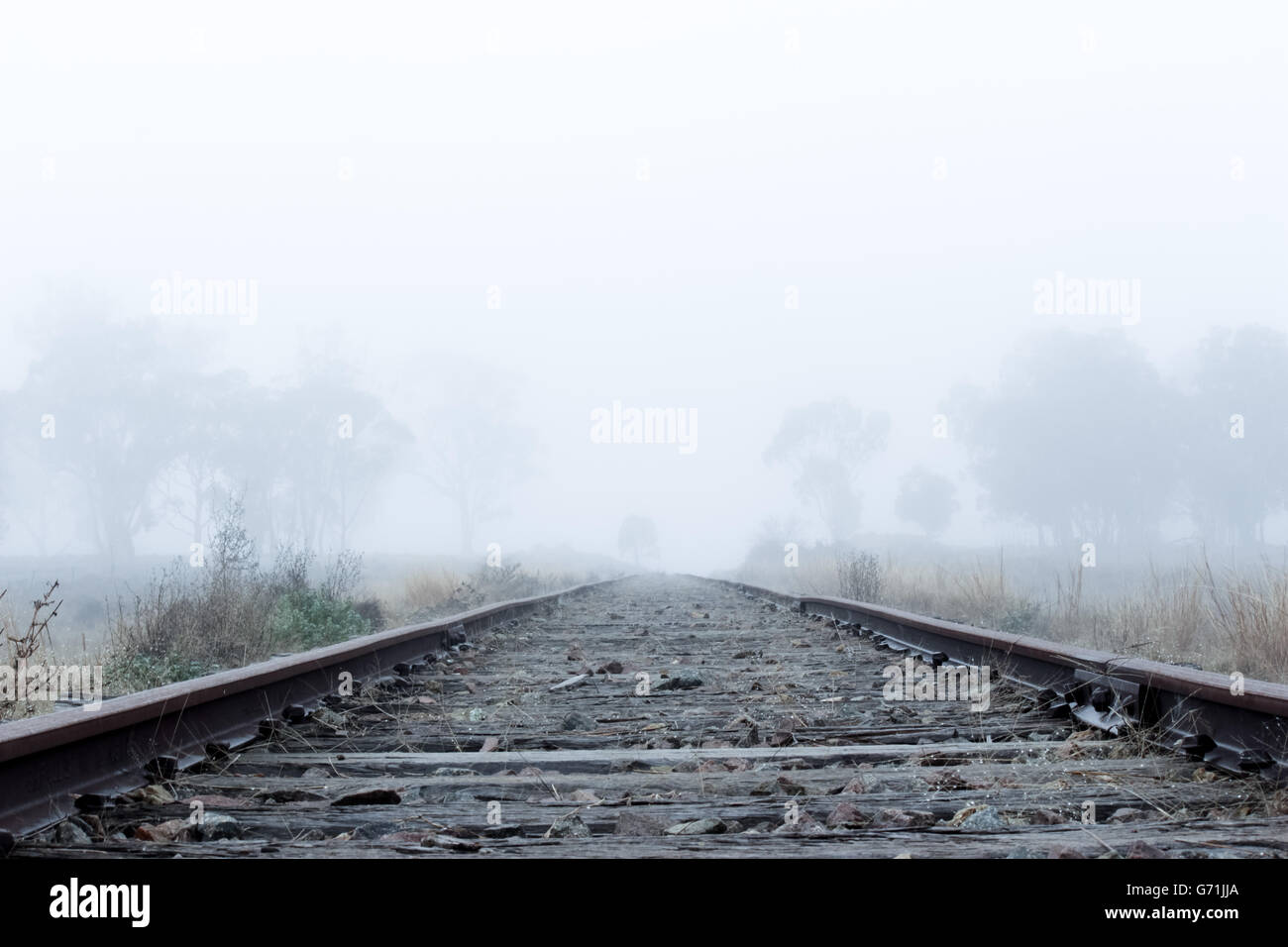 Tôt le matin, promenade dans la campagne le long des lignes de chemin de fer dans le brouillard et le gel. Faible visibilité Banque D'Images