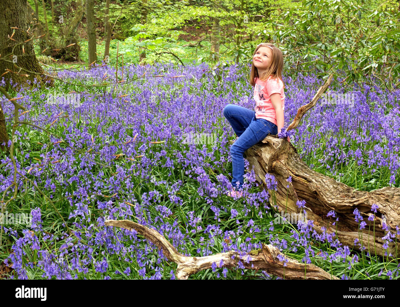 Kadie, 5 ans, Lane joue parmi les cloches à Witton Country Park, Blackburn, Lancashire. Banque D'Images