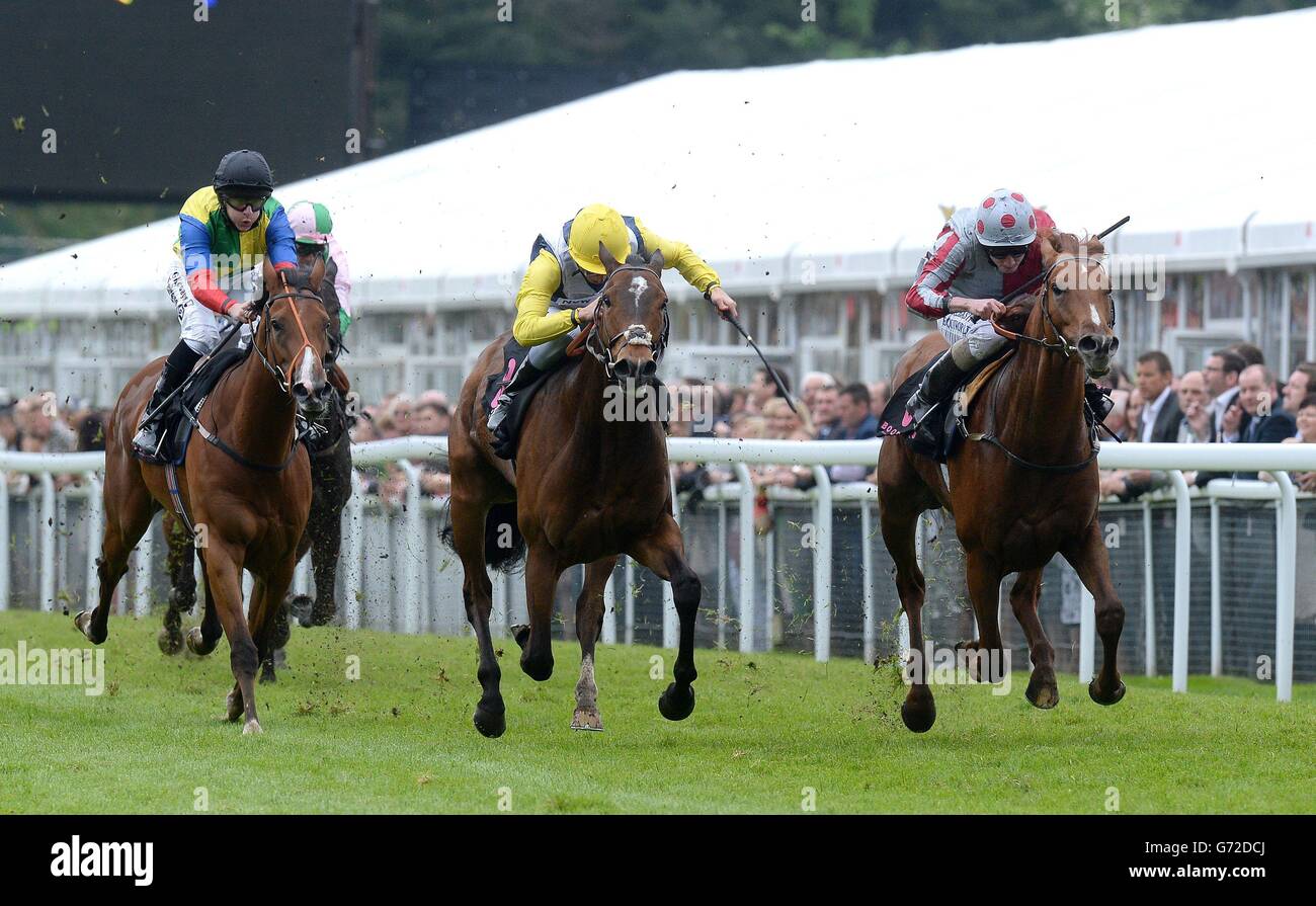 Legend Rising (à droite), monté par Ryan Moore, remporte les piquets de la course de diamants Bootles du capitaine Bob (au centre) et Hit Coffee (à gauche), au cours du deuxième jour du festival Bootles May 2014 à l'hippodrome de Chester. Banque D'Images