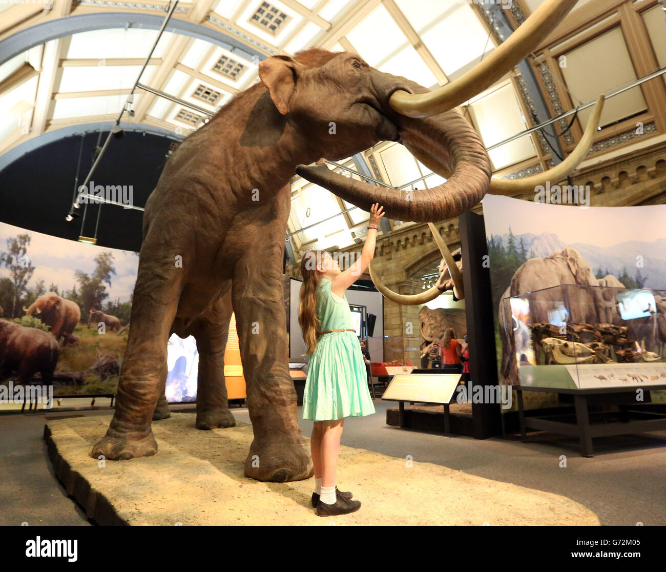 Matilda Olson, neuf ans, regarde un Mammoth colombien dans les Mammoths: ICE Age Giants exposition au Musée national d'histoire dans le centre de Londres. Banque D'Images