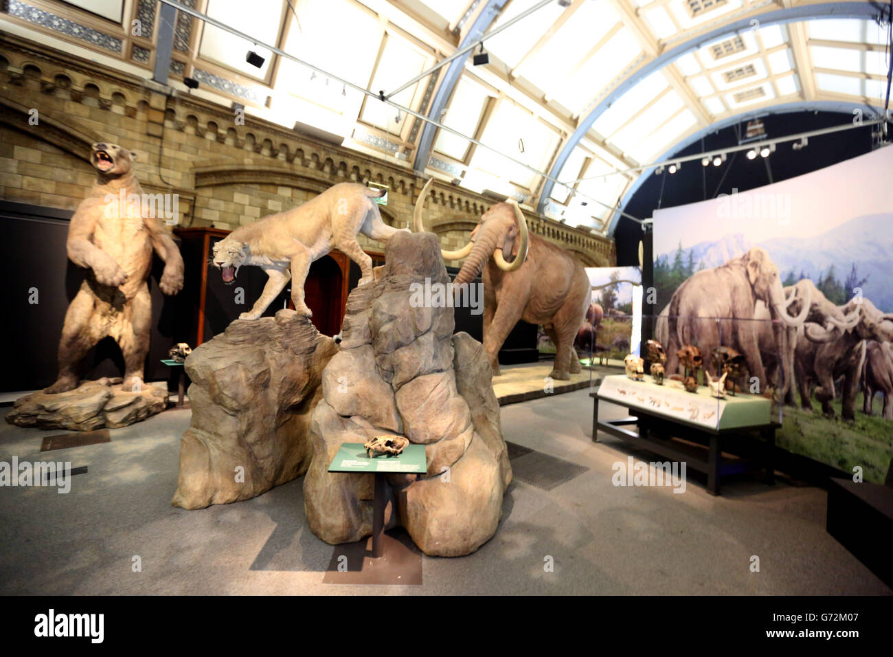 Dans mammouth colombien les mammouths : les géants de l'époque glaciaire exposition - Londres Banque D'Images