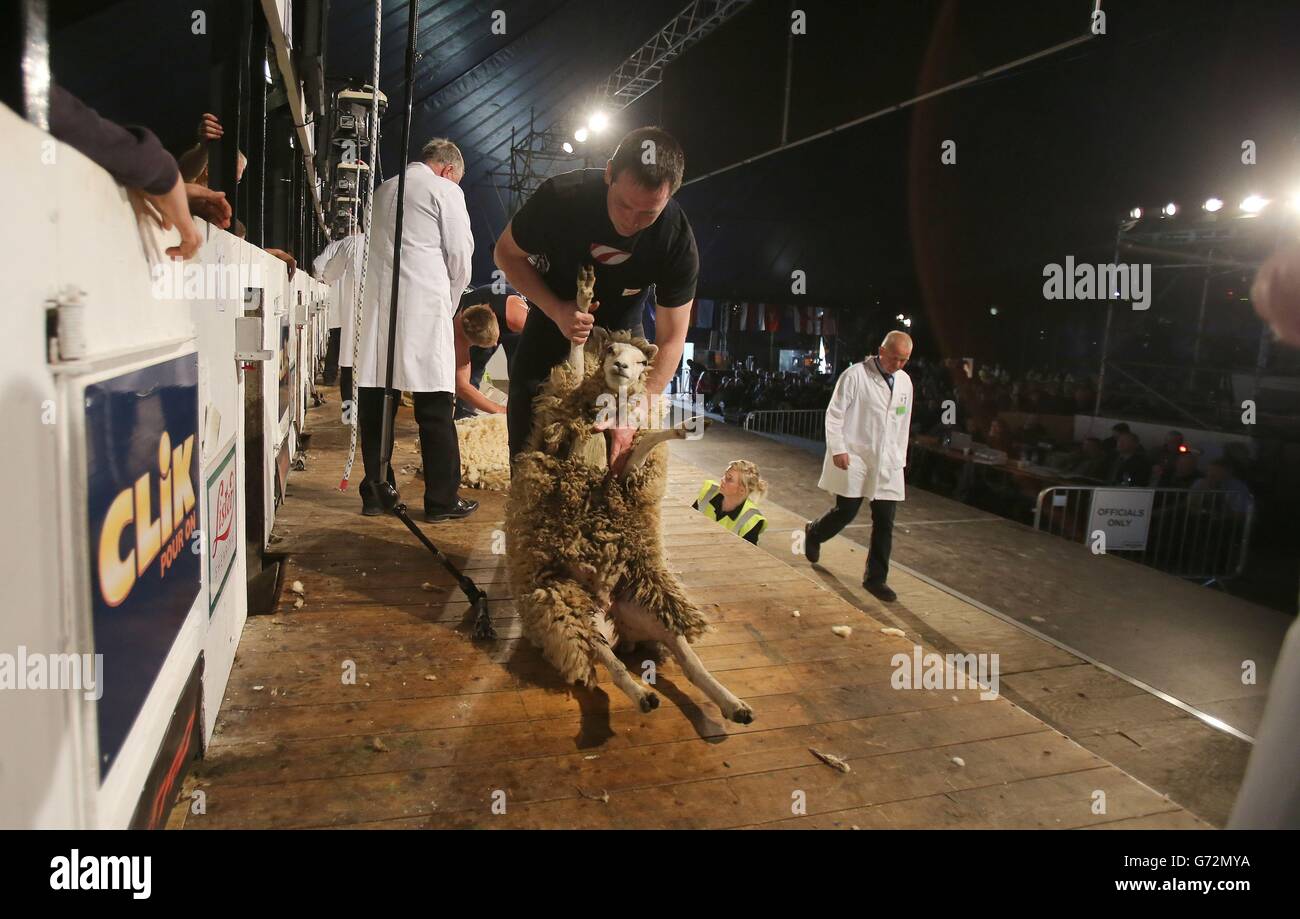 Ciseaux d'or aux Championnats du Monde de TONTE DE MOUTONS Banque D'Images