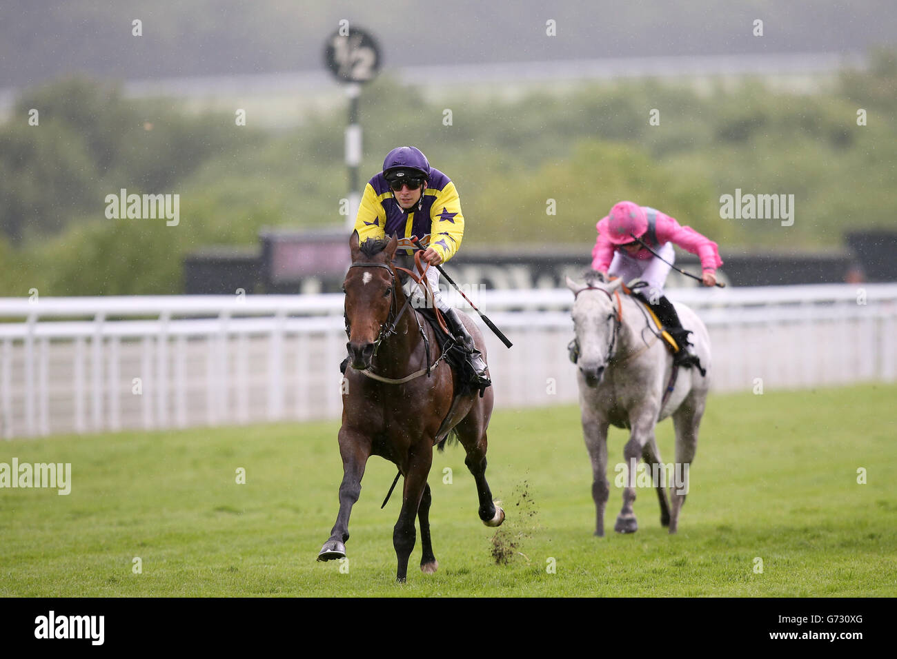 Les courses de chevaux - Mai Festival 2014 - Jour 1 - Goodwood Racecourse Banque D'Images