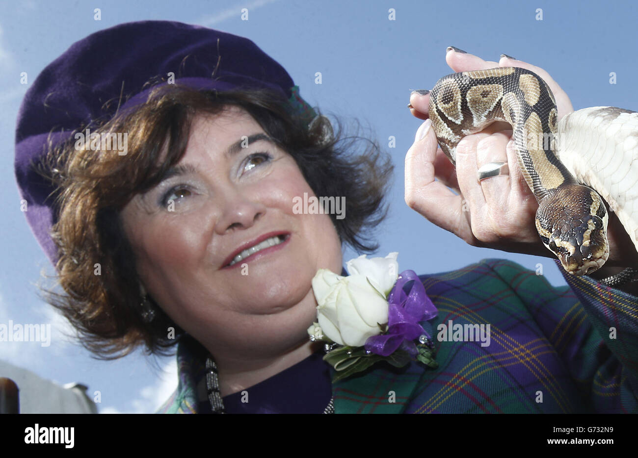 Chieftain des championnats britanniques de la bande de pipe Susan Boyle coups Monty le python aux Jeux West Lothian Highland et British Pipe Band Championships à Meadow Park, Bathgate. Banque D'Images