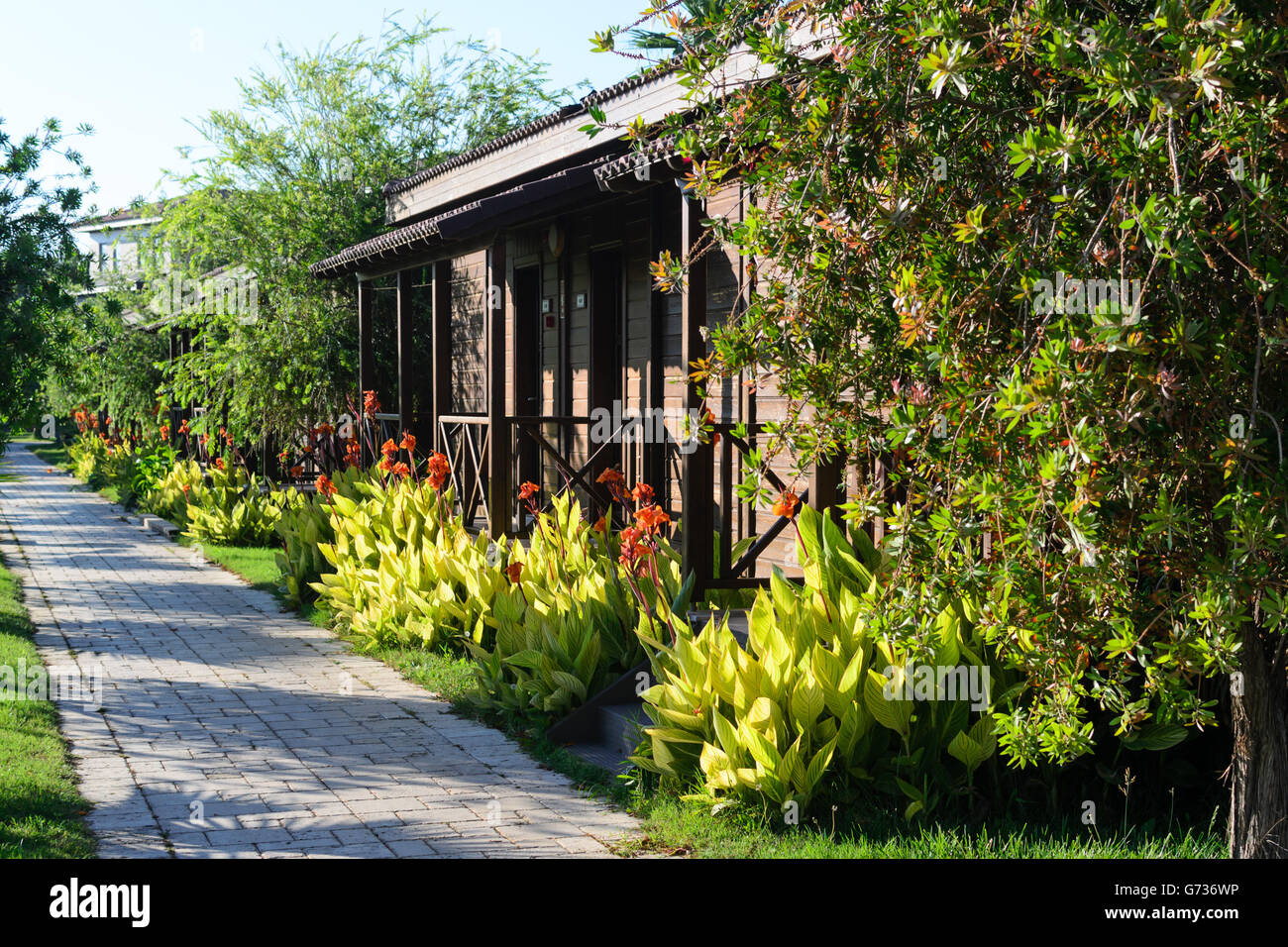 Les maisons sont entourées de plantes tropicales et de fleurs photo Banque D'Images