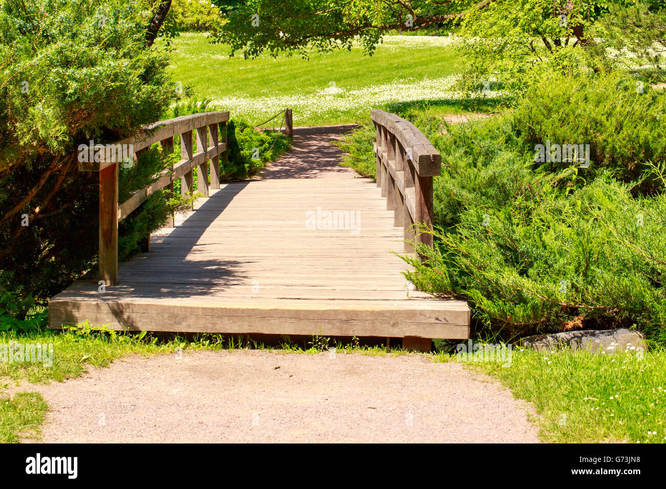 Pont de bois dans la forêt de l'été Banque D'Images