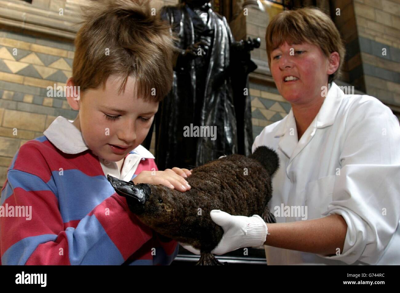 Theodore Stone, 8 ans, est présenté un ornithorpe de canard par Lorraine Cornish, conservatrice principale au Musée national d'histoire. Théodore est le grand, grand, grand et grand petit-fils du fondateur du musée Sir Richard Owen, qui a inventé le mot « dinosaure ». Une exposition spéciale sera ouverte au musée le 20 juillet 2004 pour présenter la contribution exceptionnelle d'Owen à la science et à l'apprentissage public. Banque D'Images